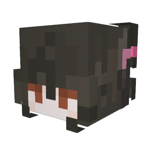 AceofallTrades27 Minecraft avatar head, 3D render