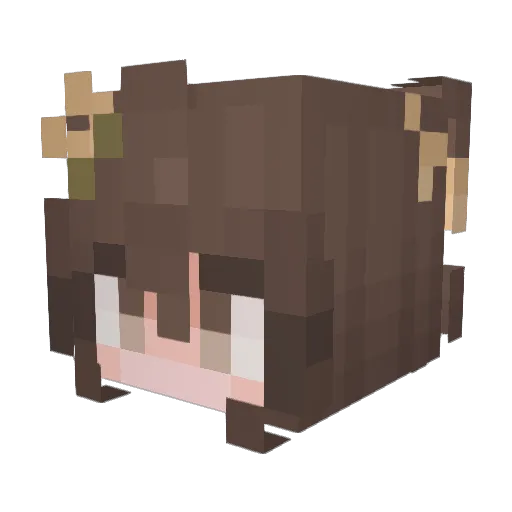 Aceoly Minecraft avatar head, 3D render