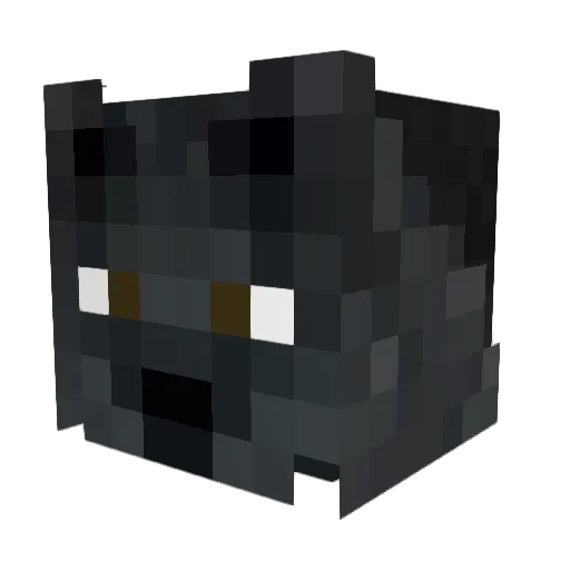 Acer1996 Minecraft avatar head, 3D render