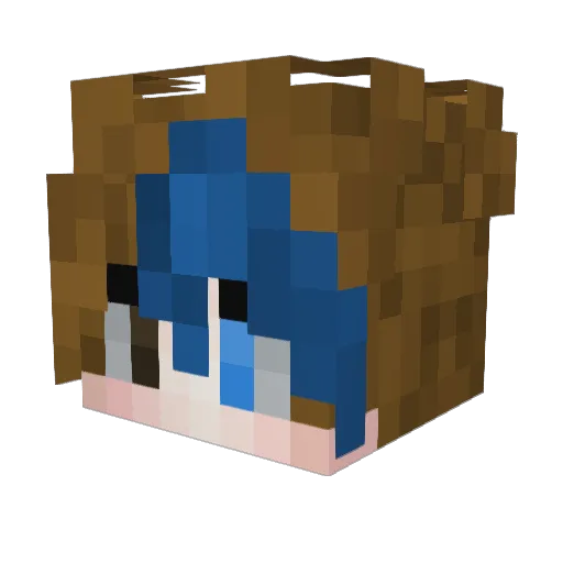 Acer2007285 Minecraft avatar head, 3D render