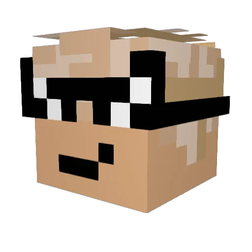 Acer8504 Minecraft avatar head, 3D render