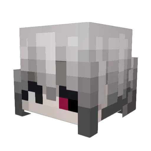 AcerLF Minecraft avatar head, 3D render
