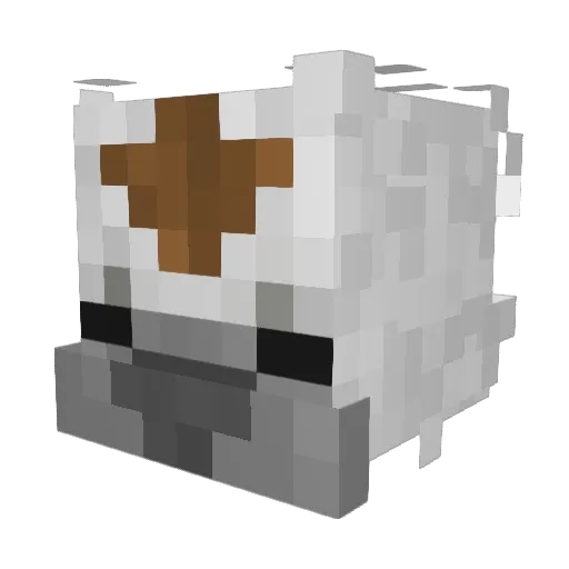 Acer_7 Minecraft avatar head, 3D render