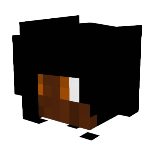 Acergy97 Minecraft avatar head, 3D render
