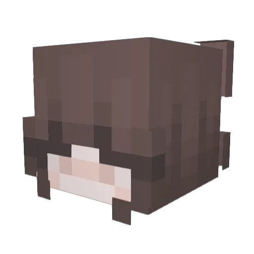 AcerrzYT Minecraft avatar head, 3D render