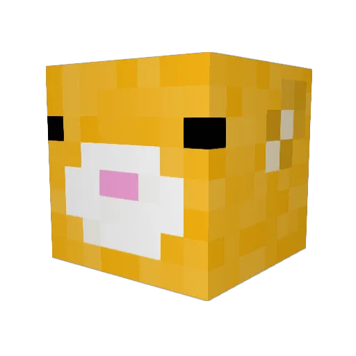 Aces1202 Minecraft avatar head, 3D render