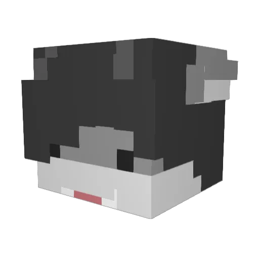 Acespace15 Minecraft avatar head, 3D render