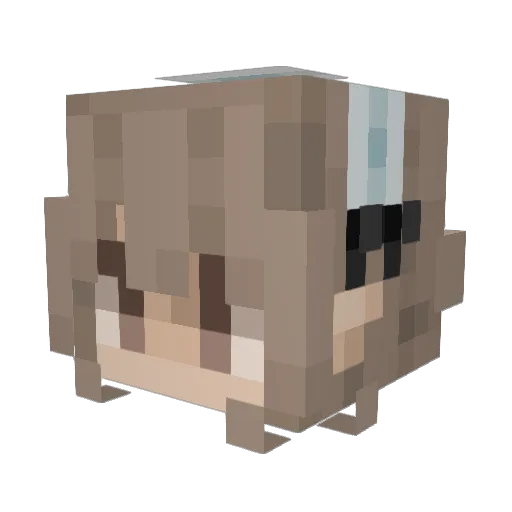 Acesrt Minecraft avatar head, 3D render