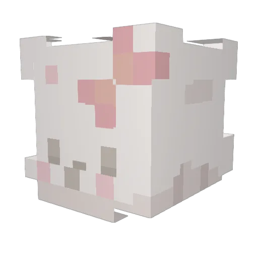 Acetera Minecraft avatar head, 3D render