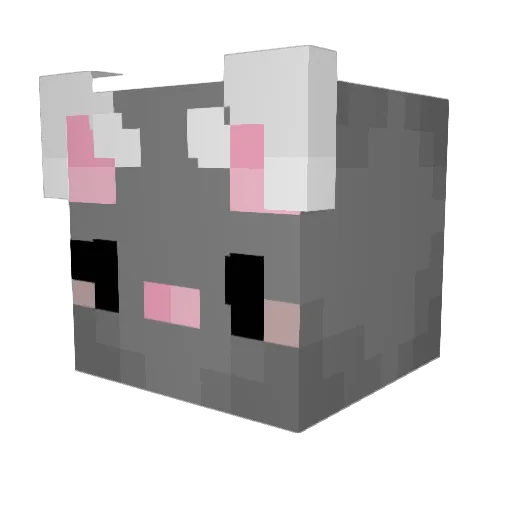 Acey_98 Minecraft avatar head, 3D render