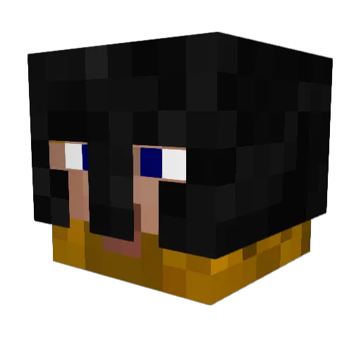 Acheareal Minecraft avatar head, 3D render