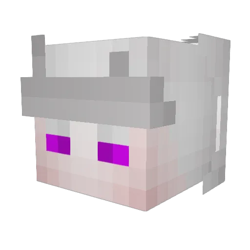 Acher00n Minecraft avatar head, 3D render