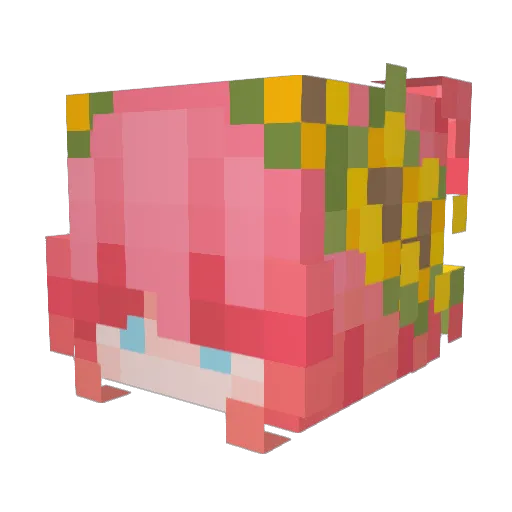 AcherontiaStyx Minecraft avatar head, 3D render