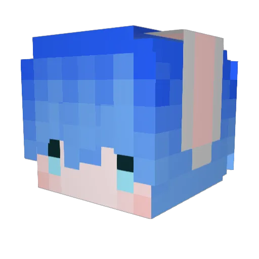 AchillesAidan Minecraft avatar head, 3D render