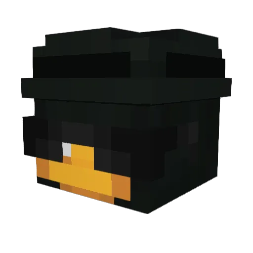 Achrei_18 Minecraft avatar head, 3D render