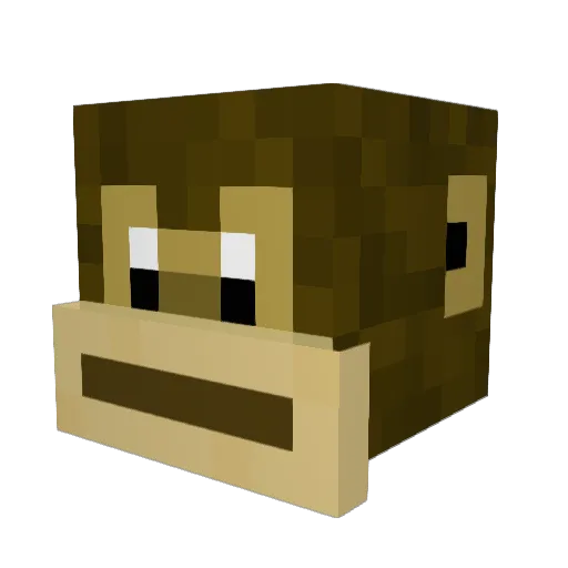 Achronomist Minecraft avatar head, 3D render