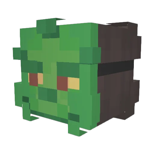 Achulina123 Minecraft avatar head, 3D render
