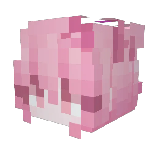 Achyakar Minecraft avatar head, 3D render
