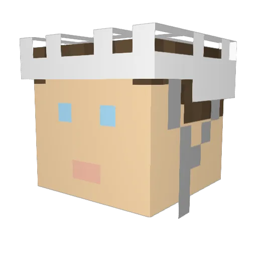 AcidAdmin Minecraft avatar head, 3D render