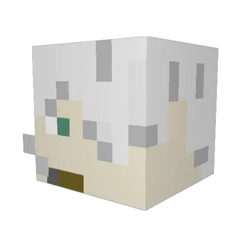 AcidArrow Minecraft avatar head, 3D render
