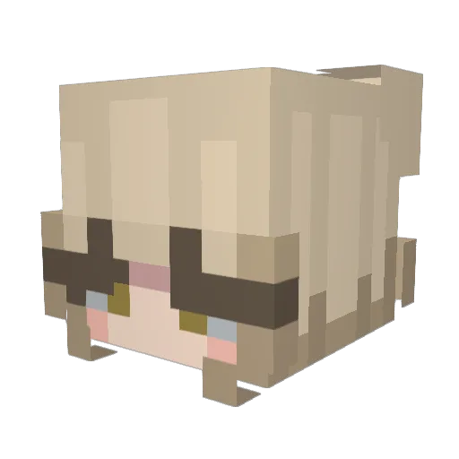AcidGlaceon Minecraft avatar head, 3D render