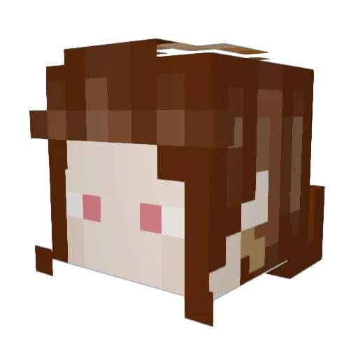 AcidIrish Minecraft avatar head, 3D render