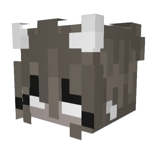 AcidLeah12 Minecraft avatar head, 3D render