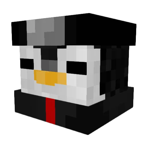 AcidSF Minecraft avatar head, 3D render