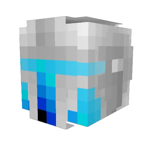 AcidSki Minecraft avatar head, 3D render