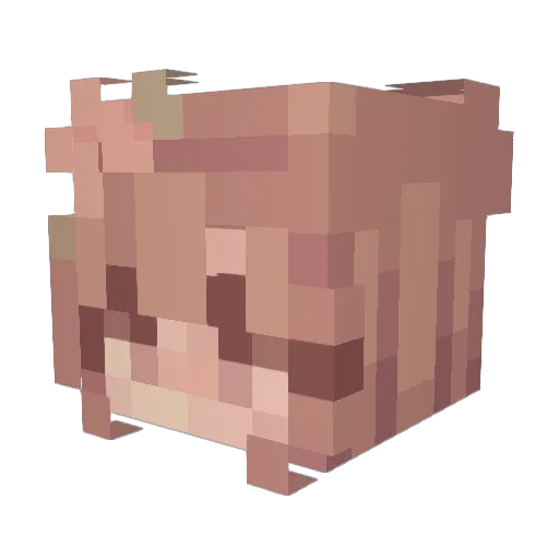 AcidTreesx Minecraft avatar head, 3D render