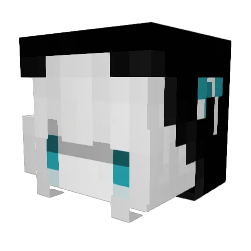 AcidWacid Minecraft avatar head, 3D render