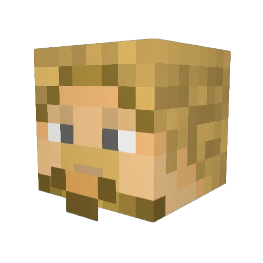 AcidWaffles Minecraft avatar head, 3D render