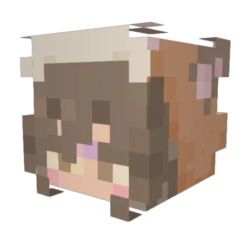 Acid_Ashe Minecraft avatar head, 3D render