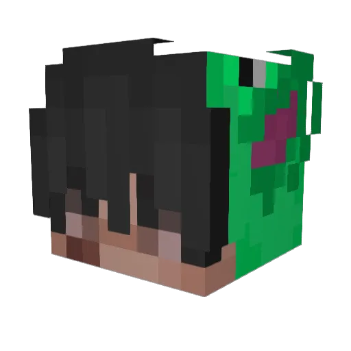 Acid_IRL Minecraft avatar head, 3D render