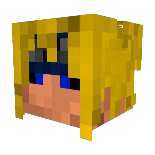 Acid_Ocelot Minecraft avatar head, 3D render