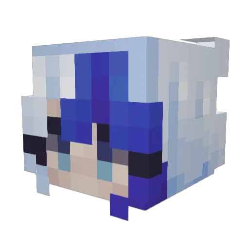 Acid_Tides Minecraft avatar head, 3D render