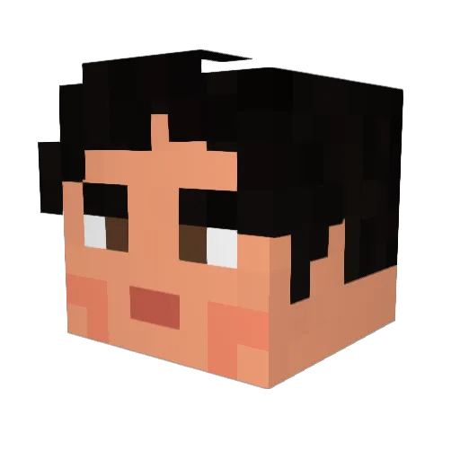 Aciddo Minecraft avatar head, 3D render