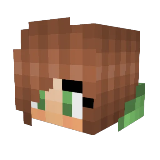 AcidicCactus Minecraft avatar head, 3D render