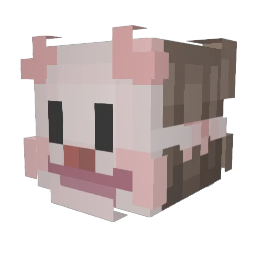 AcidicHoney Minecraft avatar head, 3D render