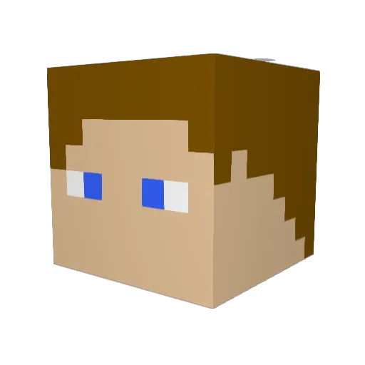 Acidicgaming_1 Minecraft avatar head, 3D render