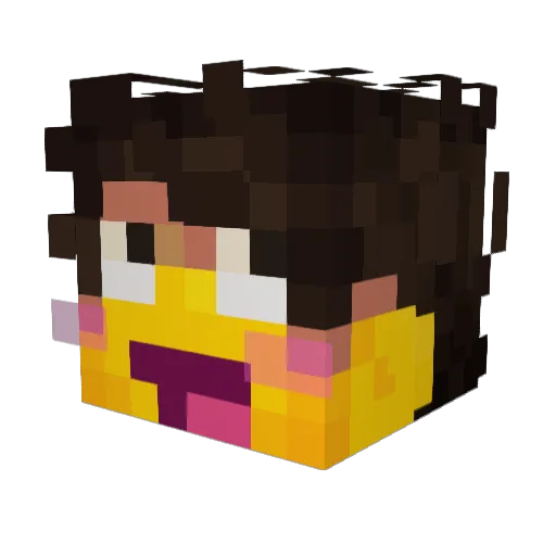 Acidif1 Minecraft avatar head, 3D render