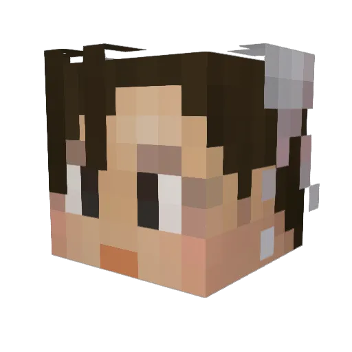 Acidilla Minecraft avatar head, 3D render