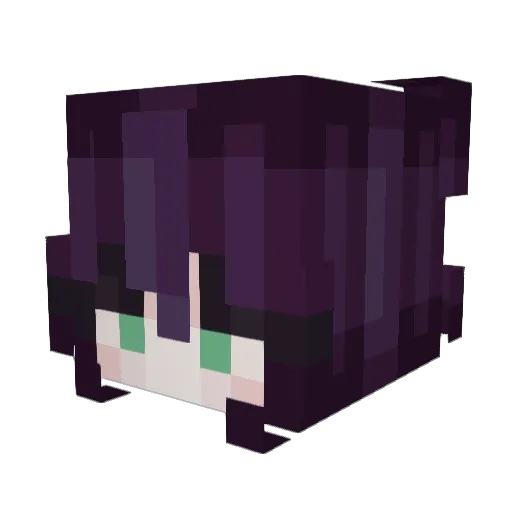 Acidiot0 Minecraft avatar head, 3D render