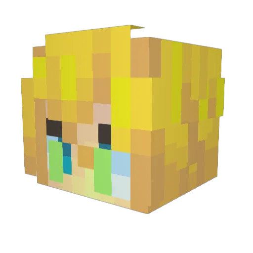 Acidking420 Minecraft avatar head, 3D render