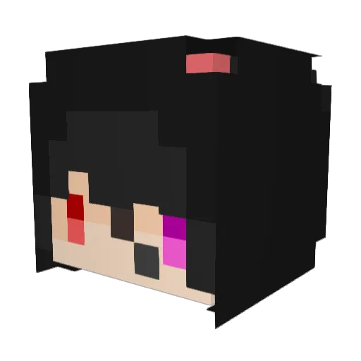 Acidman_ Minecraft avatar head, 3D render