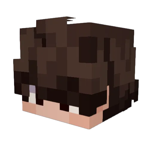 Acidobifilin Minecraft avatar head, 3D render
