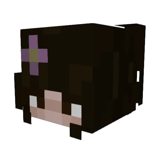Acidski100 Minecraft avatar head, 3D render