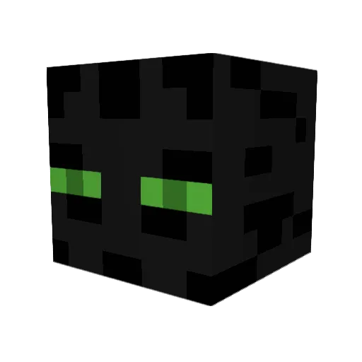 AciidSkull Minecraft avatar head, 3D render