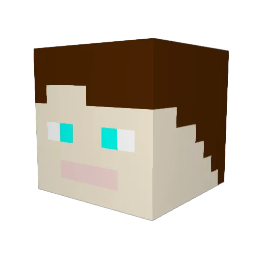 Acilv350 Minecraft avatar head, 3D render