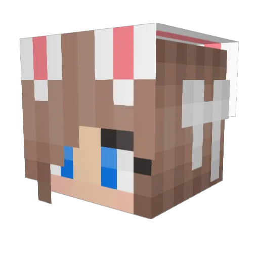 Acina Minecraft avatar head, 3D render
